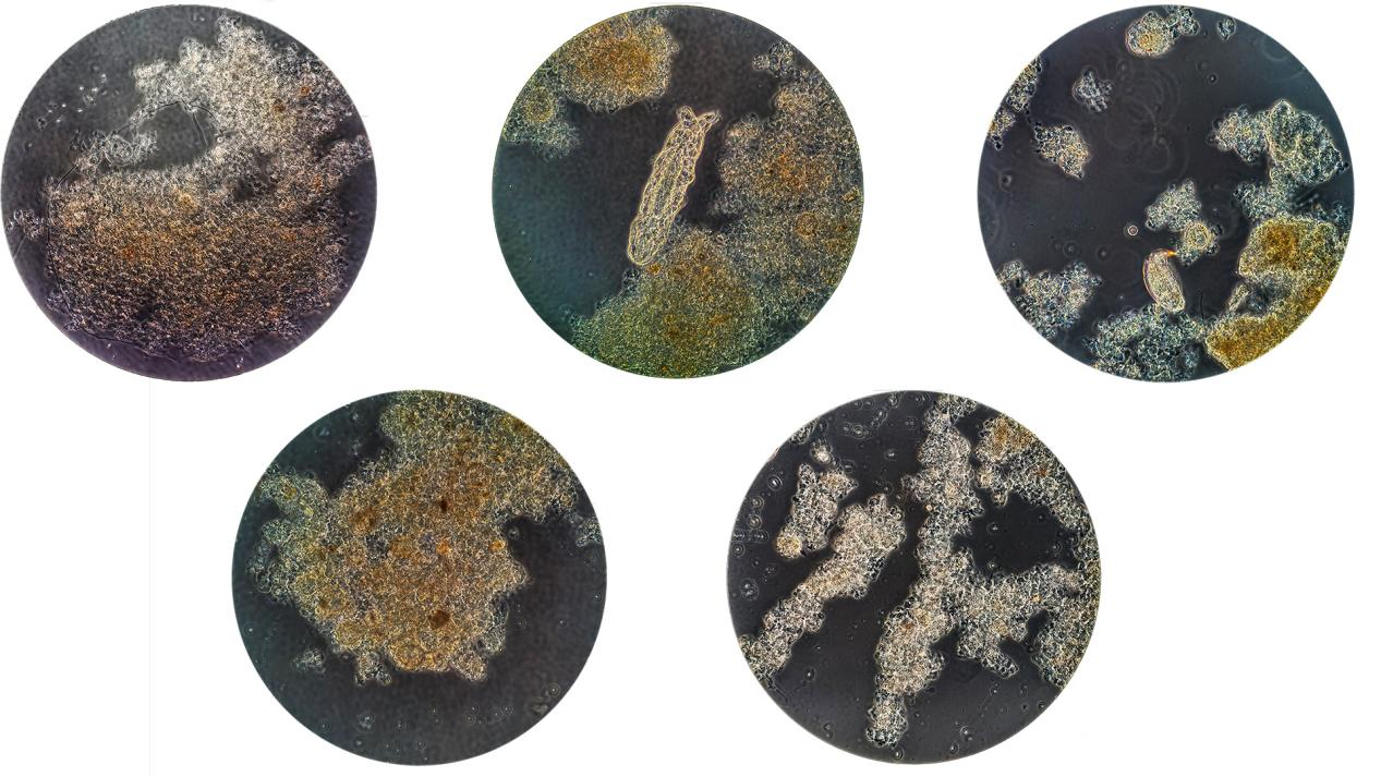 非凡国际(中国区)-官方网站
